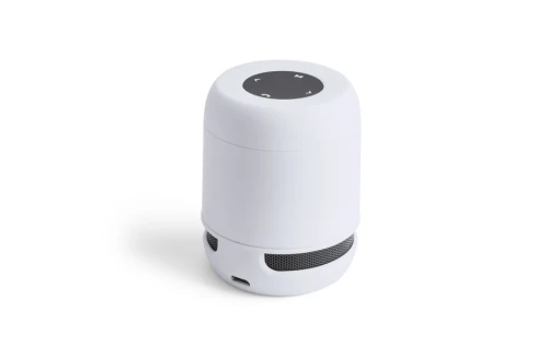 Enceinte bluetooth connectée personnalisable haut parleur sans fil compact Braiss