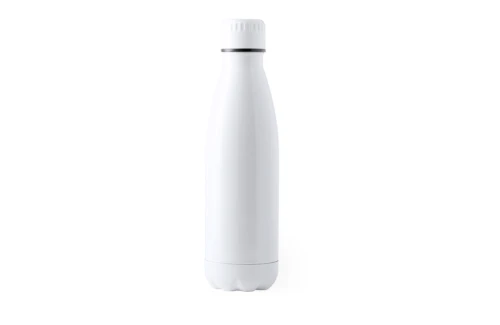 Bouteille personnalisée en acier inox à finition mat Rextan 790 ml