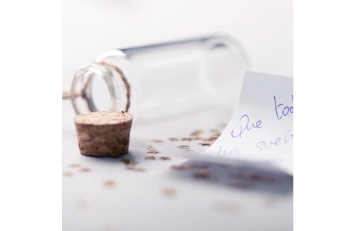 Bouteille à souhaits écrin à vœux de Noël en verre personnalisable Shoilen