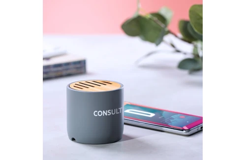 Mini enceinte Bluetooth personnalisée haut-parleur écoresponsable Piler